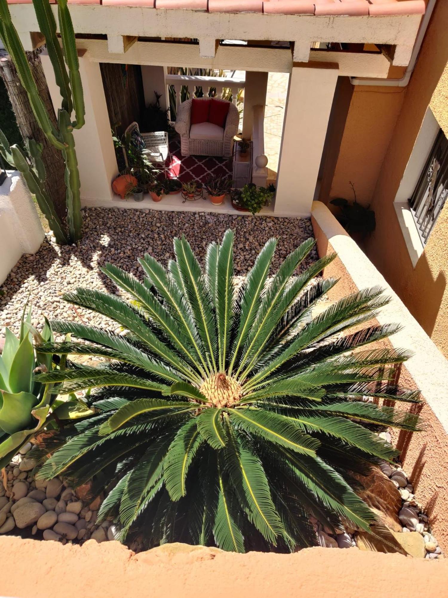 El Gecko Villa Alcossebre Kültér fotó
